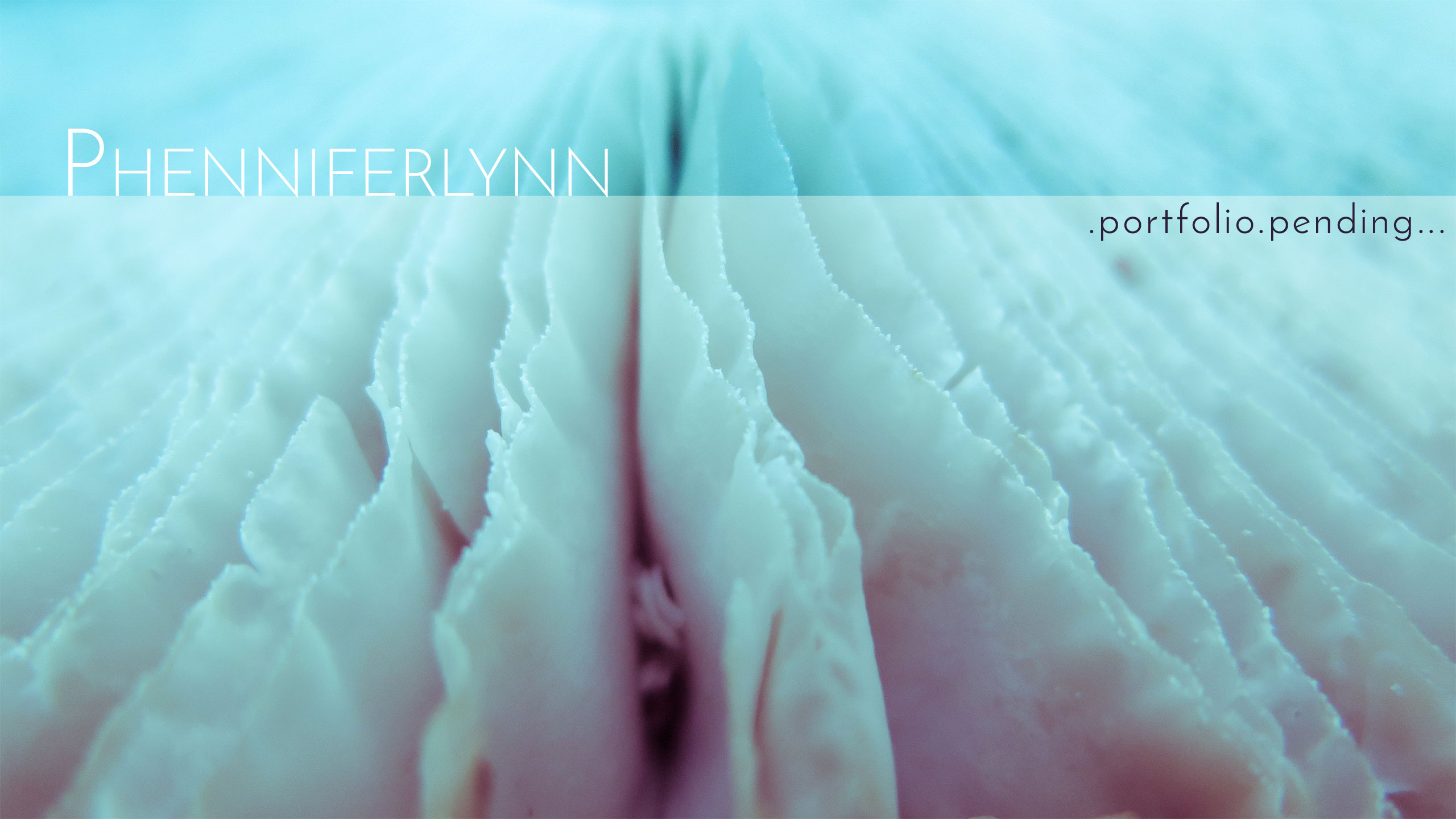 Phenniferlynn; portfolio pending